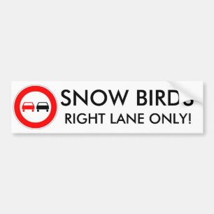 Autocollant De Voiture Oiseaux de neige