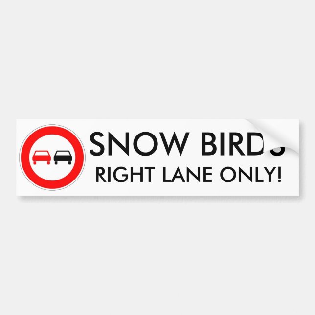 Autocollant De Voiture Oiseaux de neige (Devant)