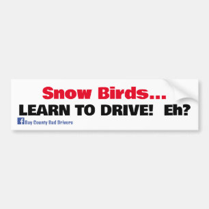 Autocollant De Voiture Oiseaux de neige - Apprendre à conduire