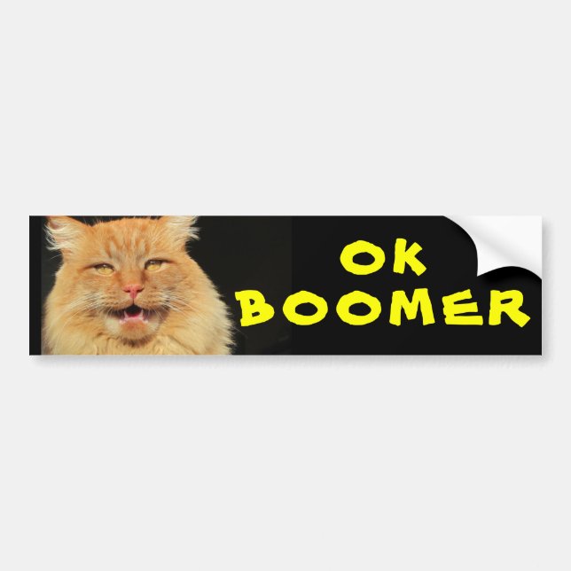 Autocollant De Voiture OK BOOMER Funny Cat Meme (Devant)