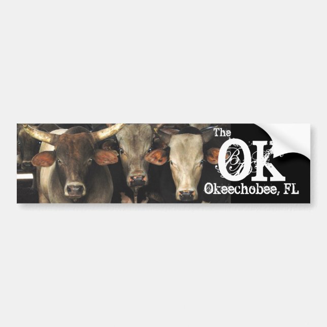 Autocollant De Voiture Okechobee la Floride l'autocollant de vaches à (Devant)