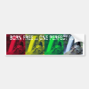 Autocollant De Voiture OPL Rasta colore l'adhésif pour pare-chocs