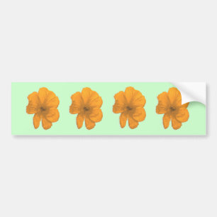 Autocollant De Voiture Orange Aid/ PopArt Flower