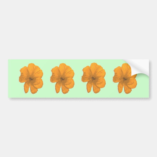 Autocollant De Voiture Orange Aid/ PopArt Flower (Devant)