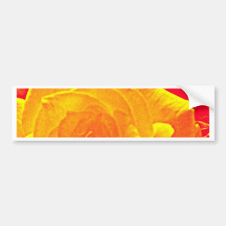 Autocollant De Voiture orange rose fluorescent