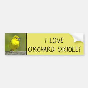 Autocollant De Voiture Orchard Oriole - Photo originale