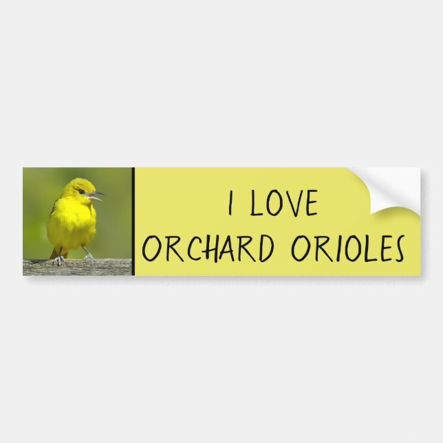 Autocollant De Voiture Orchard Oriole - Photo originale (Devant)