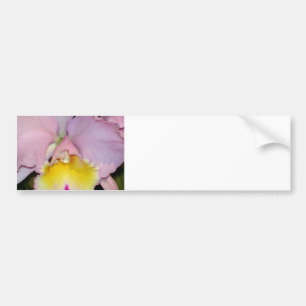 Autocollant De Voiture Orchidée de printemps
