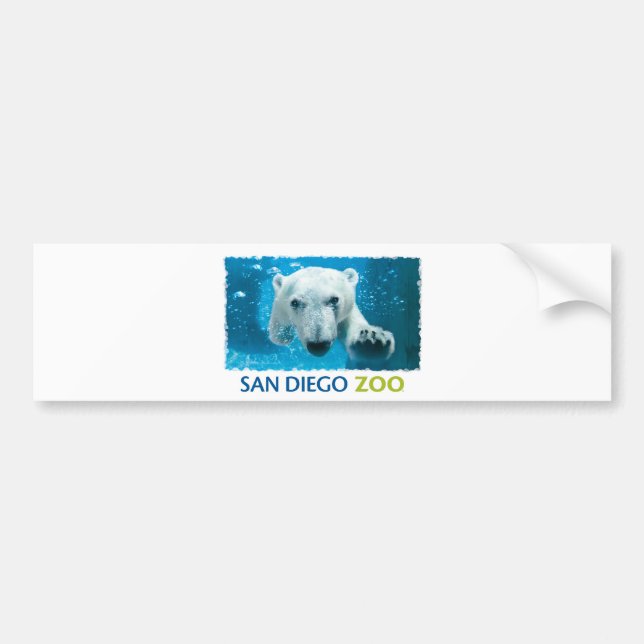 Autocollant De Voiture Ours blanc de zoo de San Diego (Devant)