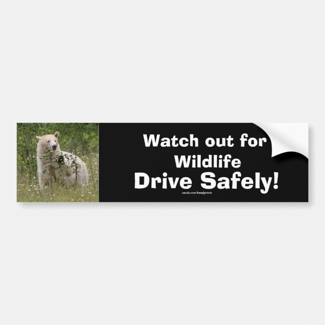 Autocollant De Voiture Ours de la faune Amoureux des animaux Design (Devant)