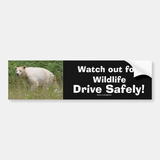 Autocollant De Voiture Ours de la faune Amoureux des animaux Design (Devant)