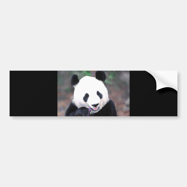 Autocollant De Voiture Panda (Devant)