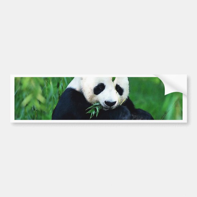 Autocollant De Voiture Panda Manger Feuilles (Devant)