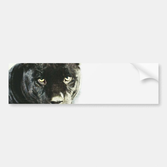 Autocollant De Voiture Panthère noire Jaguar (Devant)