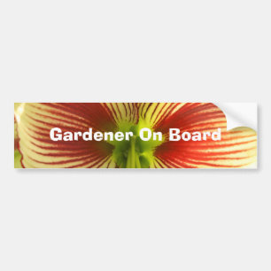 Autocollant De Voiture Papillon Amaryllis