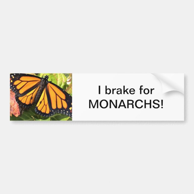 Autocollant De Voiture Papillon Monarque - Sticker (Devant)