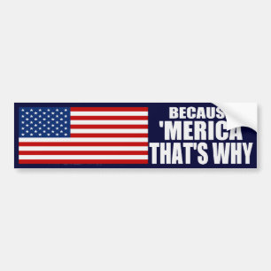 Autocollant De Voiture PARCE QUE 'MERICA QUI EST POURQUOI adhésif pour