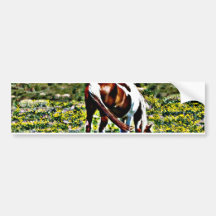 Pâturage du cheval de peinture avec les fleurs