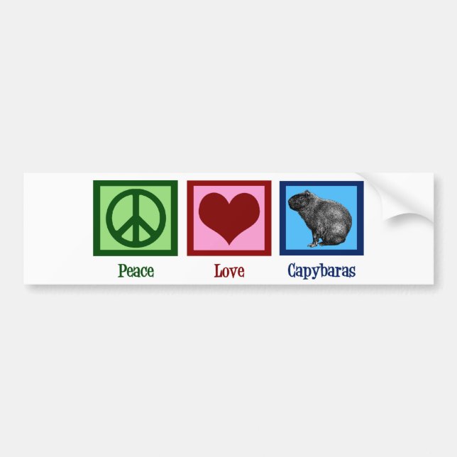 Autocollant De Voiture Peace Love Capybaras (Devant)