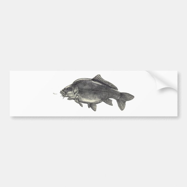 Autocollant De Voiture Pêche de carpe (Devant)