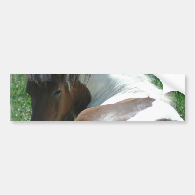 Autocollant De Voiture Peignez le poney reposant l'autocollant de butoir (Devant)
