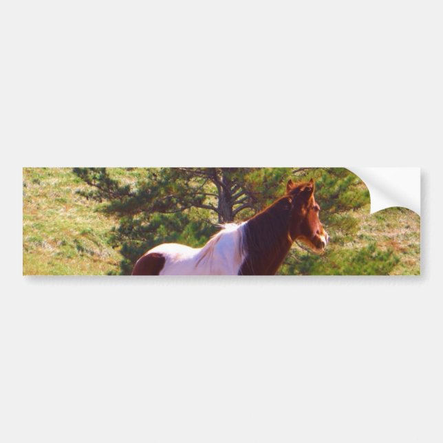 Autocollant De Voiture Peint Poney par le pin (Devant)