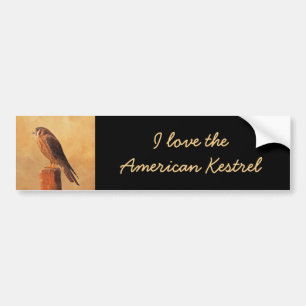 Autocollant De Voiture Peinture américaine Kestrel - Art original pour oi