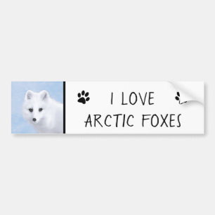 Autocollant De Voiture Peinture Arctic Fox - Art original de la faune