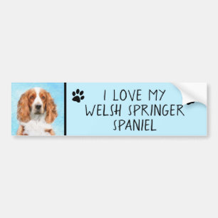 Autocollant De Voiture Peinture d'espagnol Welsh Springer - Art original 