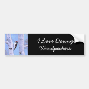 Autocollant De Voiture Peinture Downy Woodpecker - Art original pour oise