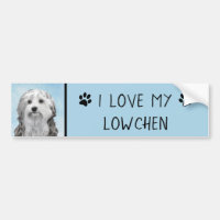 Peinture Lowchen - Cute Original Chien Art