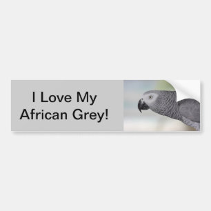 Autocollant De Voiture Perroquet magnifique de gris africain