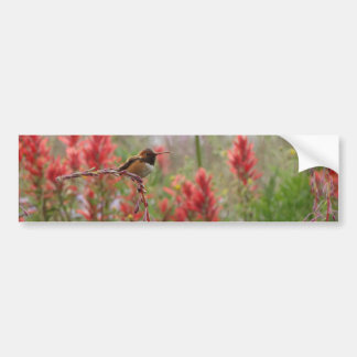 Autocollant De Voiture Petit oiseau gras