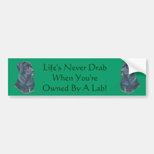 Autocollant De Voiture photo black labrador dog avec slogan amusant