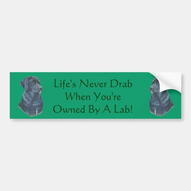 Autocollant De Voiture photo black labrador dog avec slogan amusant (Devant)