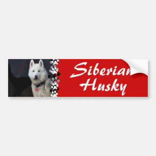 Autocollant De Voiture Photo de chien de traîneau sibérien