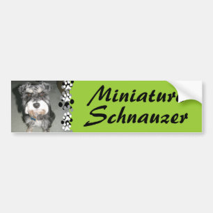 Autocollant De Voiture Photo de Schnauzer miniature