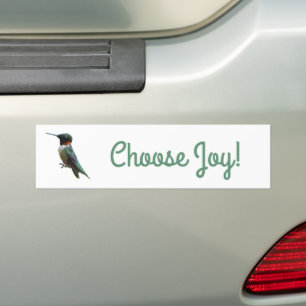Autocollant De Voiture Photographie d'oiseau Colibri à gorge rubis