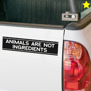 Autocollant De Voiture Phrase pour les droits des animaux Végétalien Végé