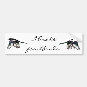 Autocollant De Voiture Pie - oiseau d'aquarelle