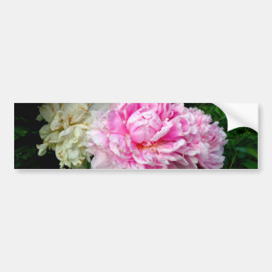 Autocollant De Voiture Pies roses et blanches