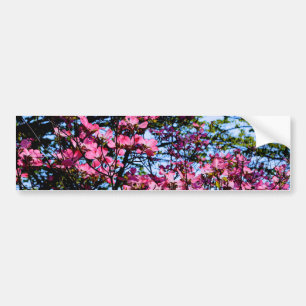 Autocollant De Voiture Pink flowering Dogwood tree