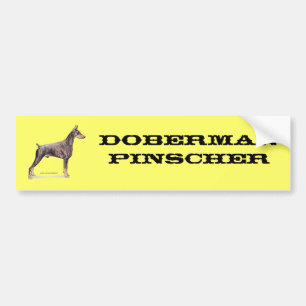 Autocollant De Voiture Pinscher de dobermann