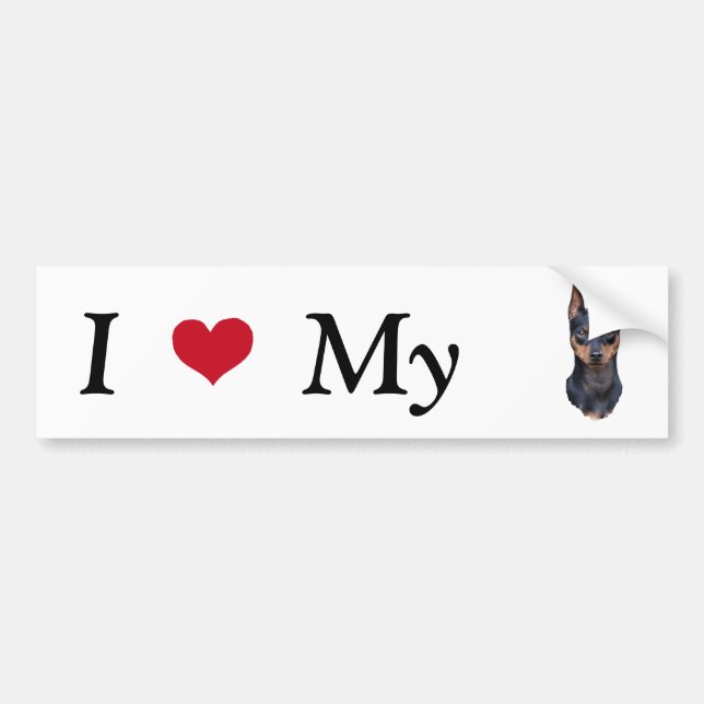 Autocollant De Voiture Pinscher miniature (Devant)