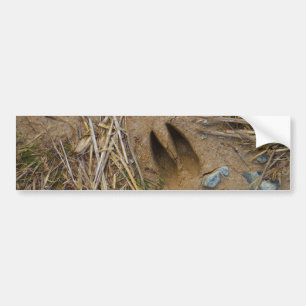 Autocollant De Voiture piste de cerfs