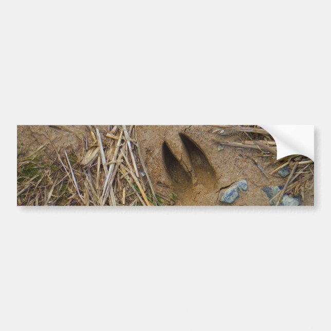 Autocollant De Voiture piste de cerfs (Devant)