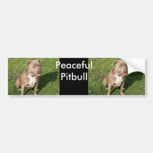 Autocollant De Voiture Pitbull paisible