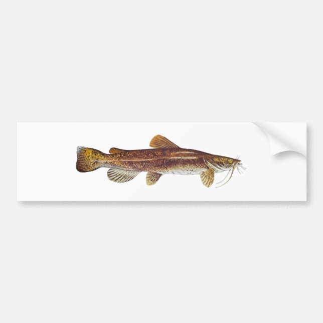 Autocollant De Voiture Poisson-chat à tête plate (Devant)