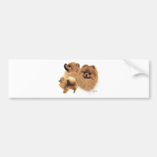 Autocollant De Voiture Pomeranian