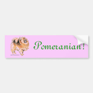Autocollant De Voiture Poméranien !